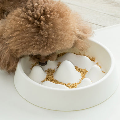 Jordan Judy Pet Slow Food Bowl